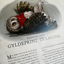 Last inn bildet i Galleri-visningsprogrammet, Harry Potter og Mysteriekammeret: Illustrert utgave bok 2