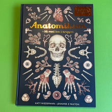 Last inn bildet i Galleri-visningsprogrammet, Anatomikum