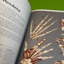 Last inn bildet i Galleri-visningsprogrammet, Anatomikum