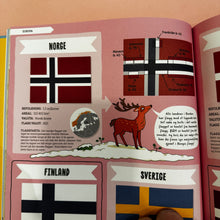 Last inn bildet i Galleri-visningsprogrammet, Flagg og kart