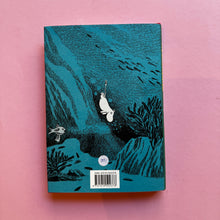 Load image into Gallery viewer, Comet in Moominland
