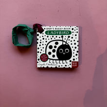 Load image into Gallery viewer, Baby`s Buggy Book: Ladybird
