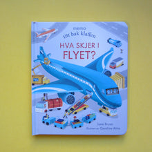 Last inn bildet i Galleri-visningsprogrammet, Hva skjer i flyet?
