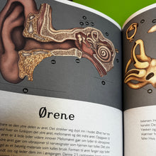 Last inn bildet i Galleri-visningsprogrammet, Anatomikum
