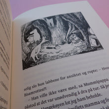 Load image into Gallery viewer, Kometen kommer
