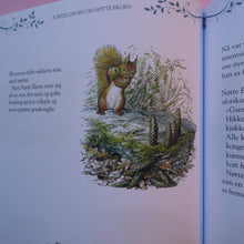 Load image into Gallery viewer, Petter Kanin og vennene hans
